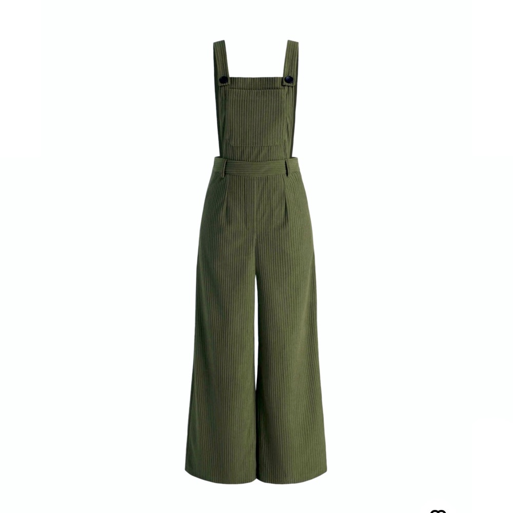 NWT Cider overalls